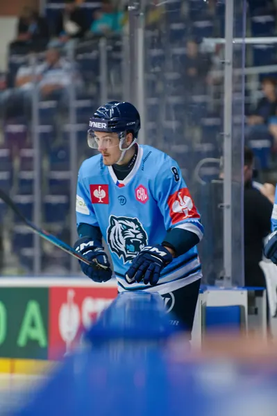 Kristaps Zile, 11. 9. 2026, Liberec – Herning Blue Fox