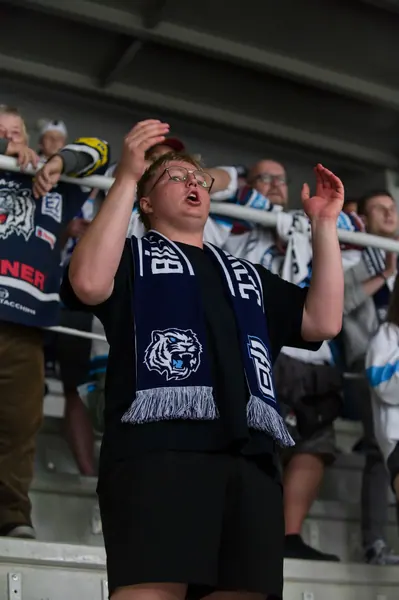 Fanoušci, 11. 9. 2026, Liberec – Herning Blue Fox