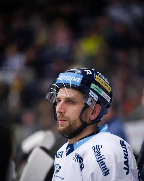 Petr Kolmann